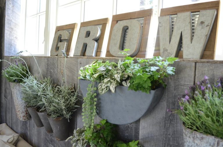 How to Create a Planter Wall in Your Home Sanctuary Home Decor