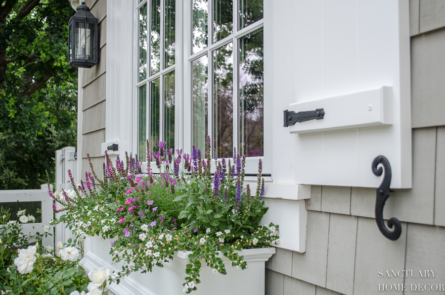 black shutters white window boxes