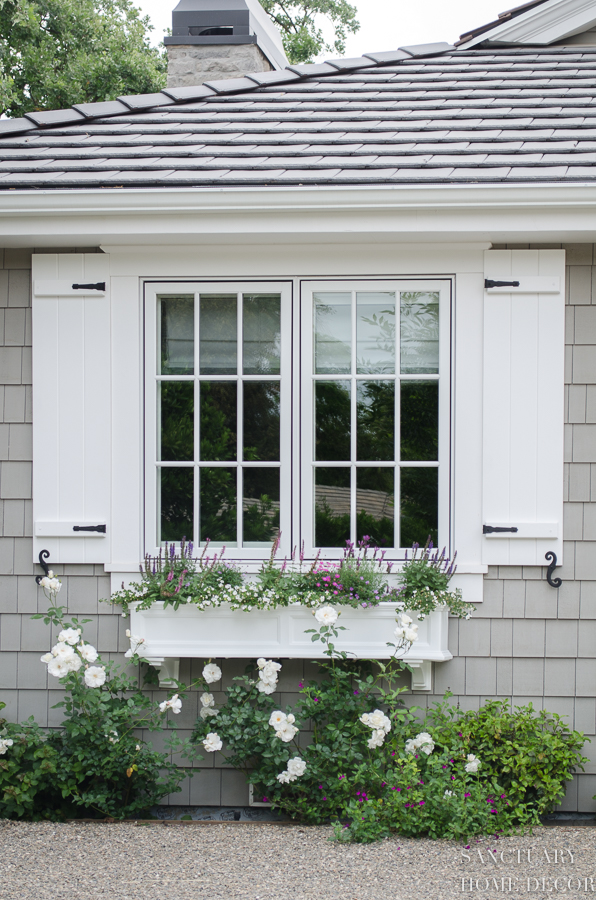 black shutters white window boxes