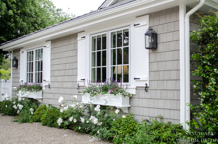 black shutters white window boxes