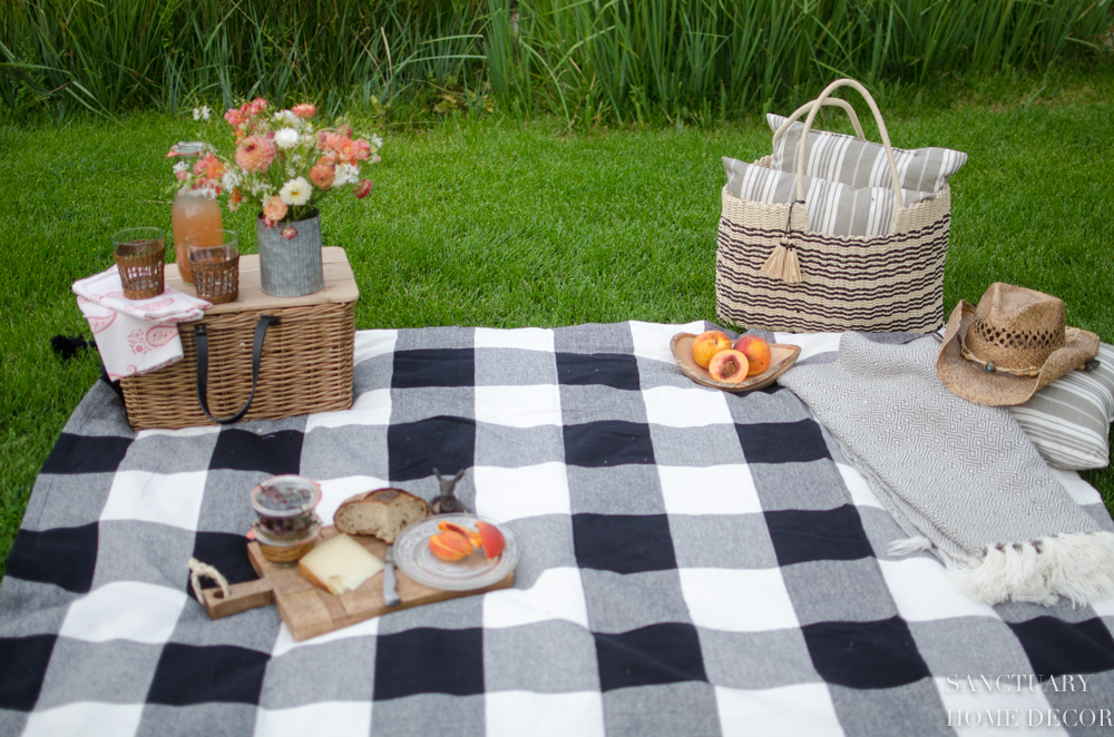 Picnic Setup DIY 