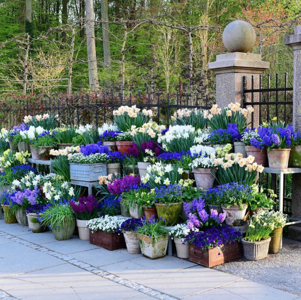  container gardening