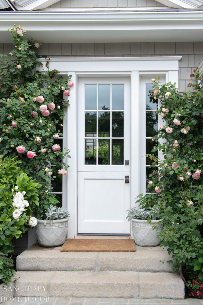 Climbing Roses-Dutch Door-Country Garden in Full Bloom