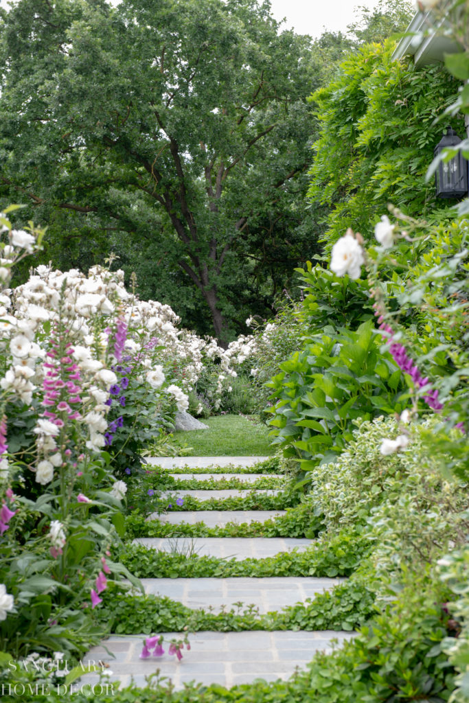 Garden Path-Foxglove-Delphinium-White Roses-Country Garden in Full Bloom