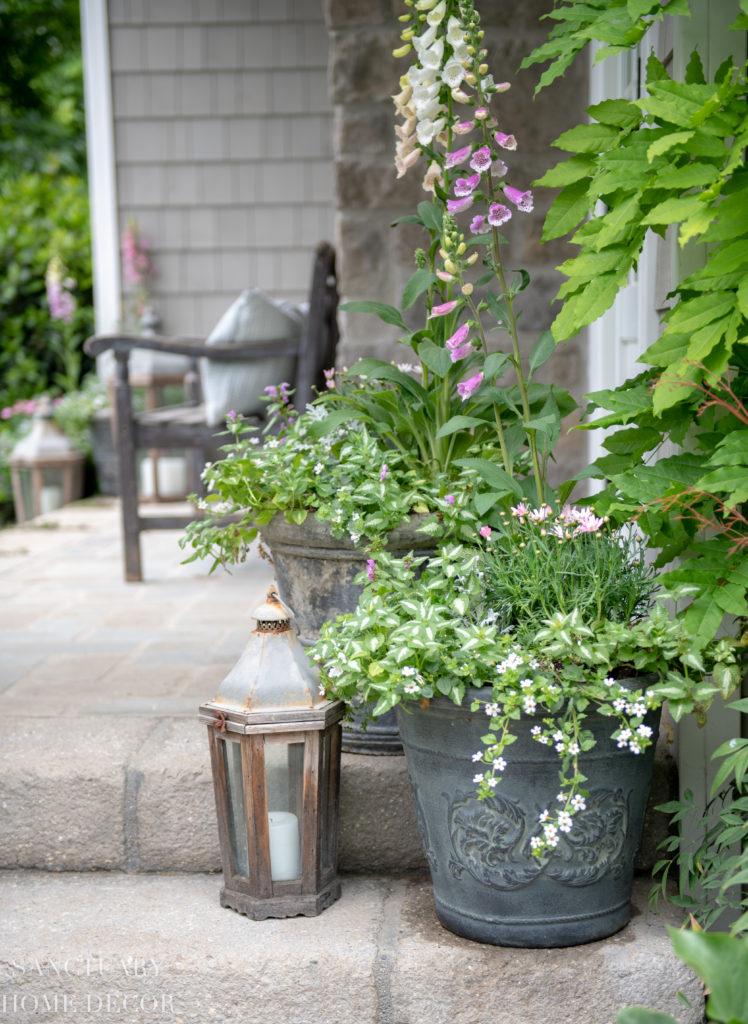 Container Garden-Country Garden in Full Bloom