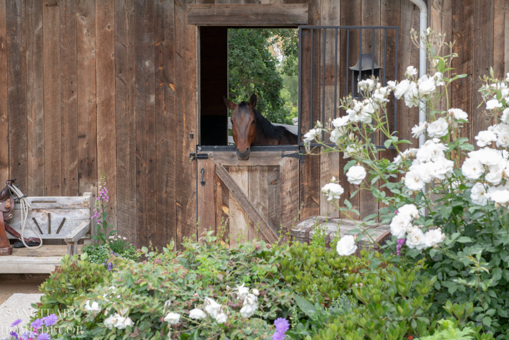 Horse Barn Reclaimed Wood 