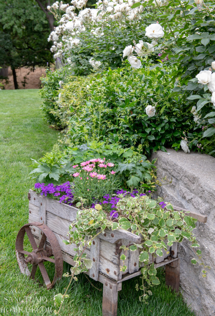 Wheelbarrow Planter