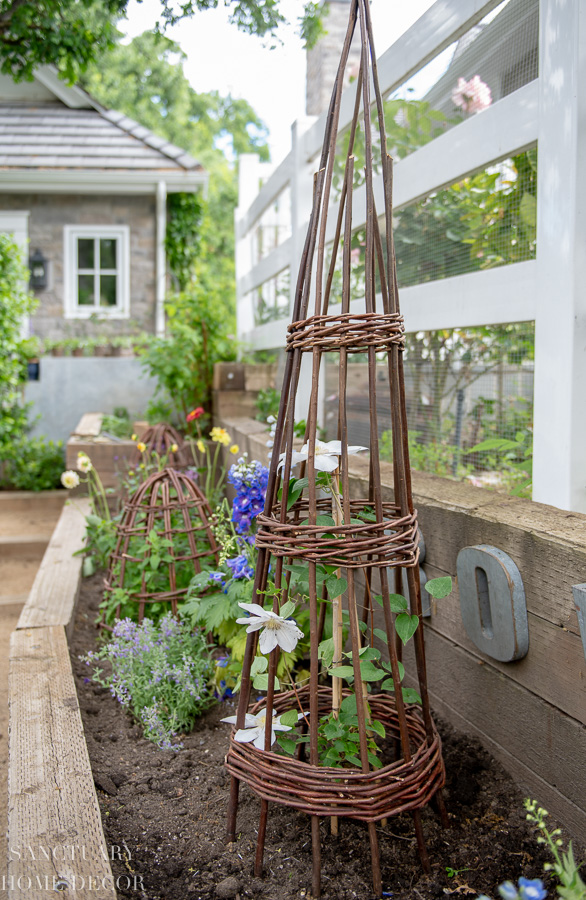 Cutting Garden with Willow cloche