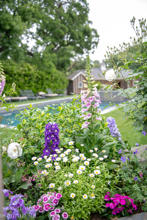 How I Planted A Cutting Garden In My Raised Flower Bed - Sanctuary Home