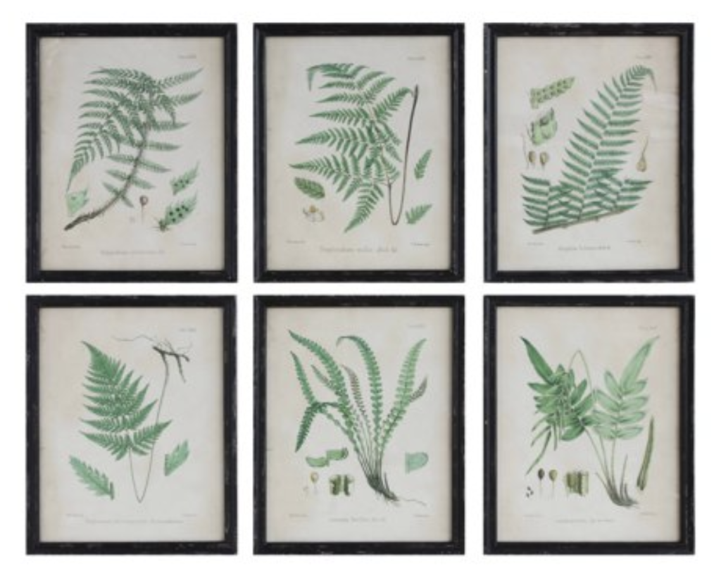 framed botanical prints