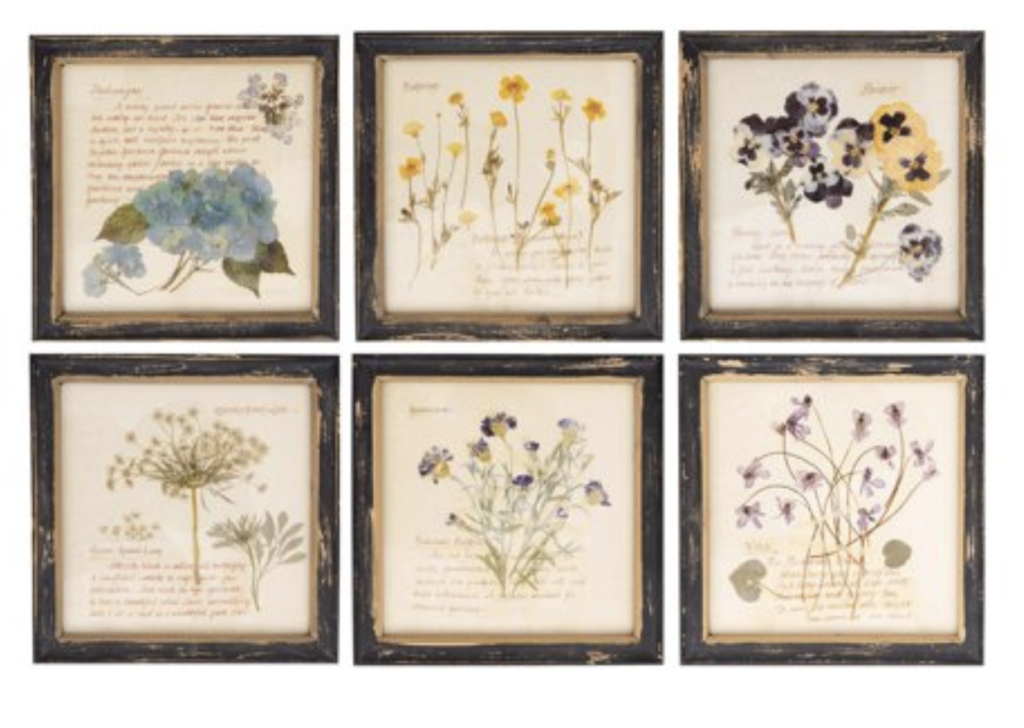 botanical prints