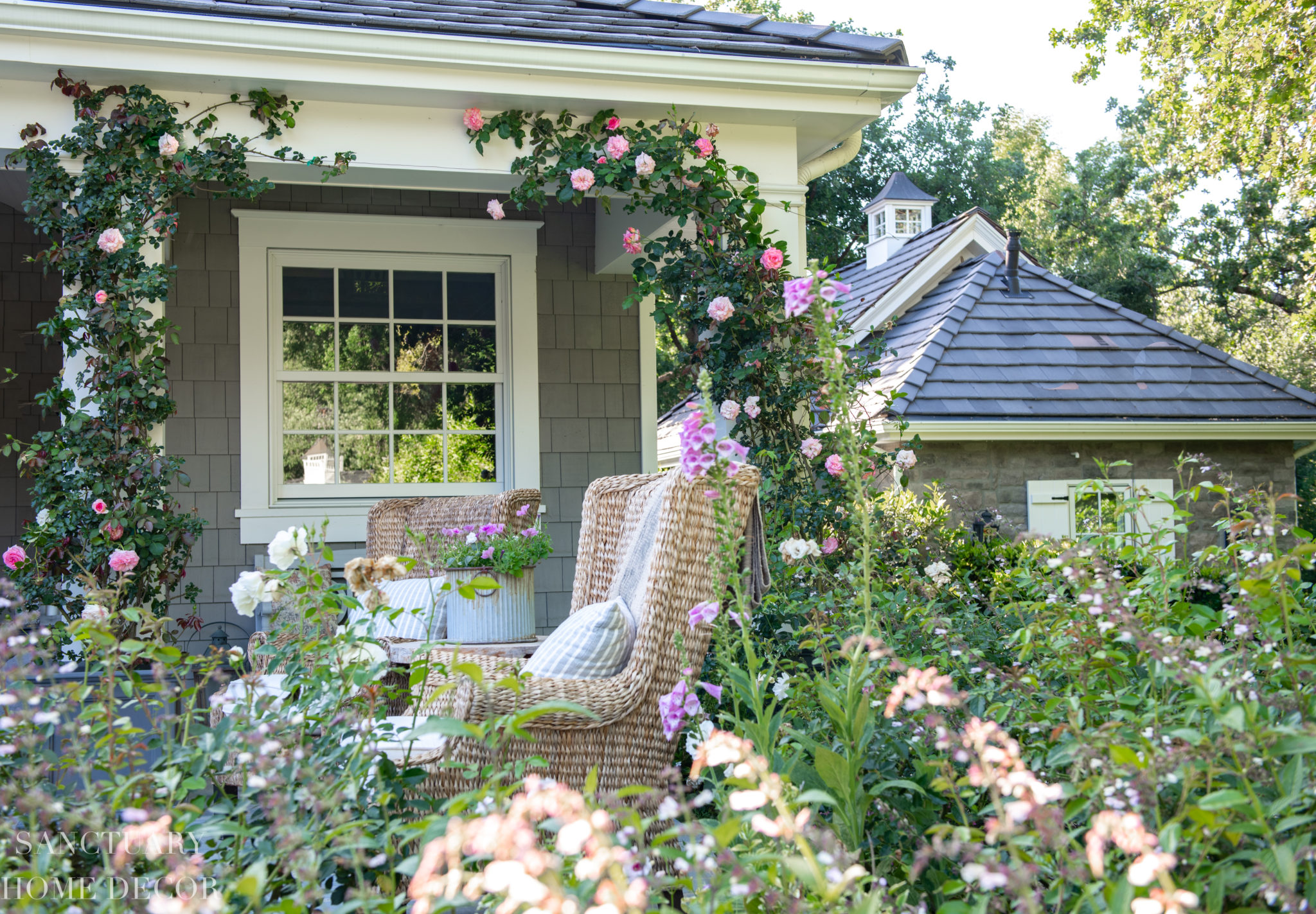 How to Train Climbing Roses Sanctuary Home Decor