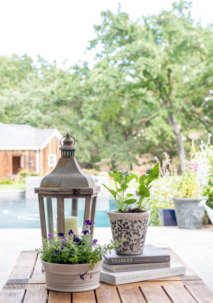 plants for outdoor tables