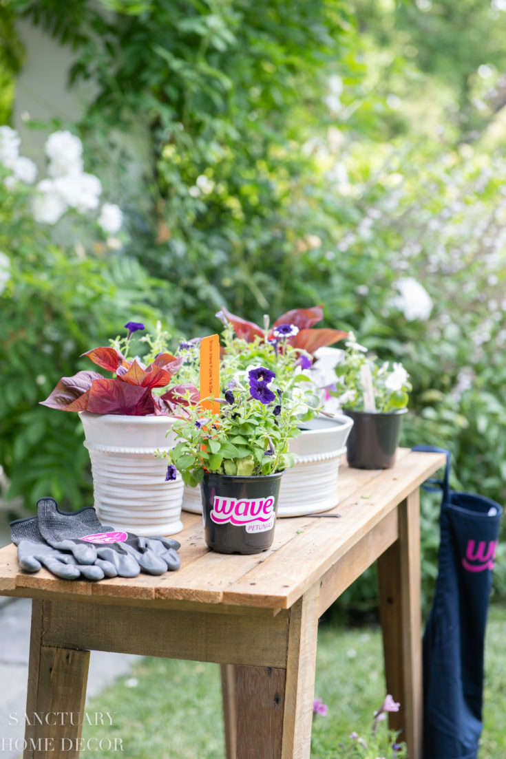 Outdoor Decorating with Potted Plants - Sanctuary Home Decor