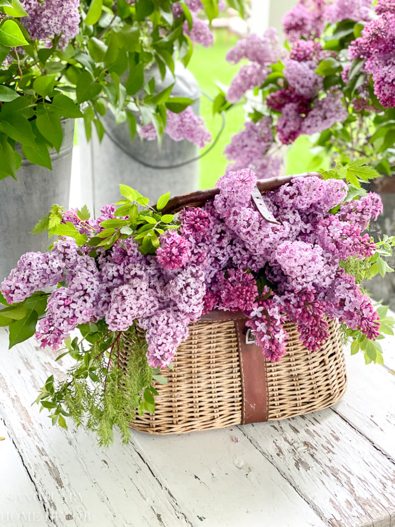 https://sanctuaryhomedecor.com/wp-content/uploads/2020/06/Lilacs-in-a_hanging-basket-19-768x1024.jpg