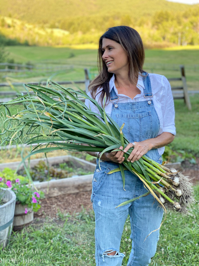 11 Vegetable Garden Ideas