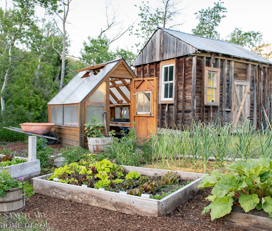 New Raised Bed Vegetable Garden Design - The Rose Table