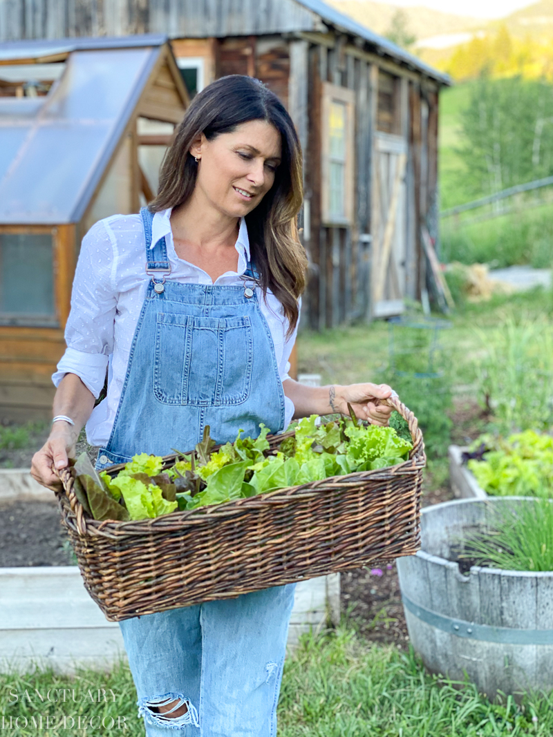 Tour Our Montana Vegetable Garden - Sanctuary Home Decor